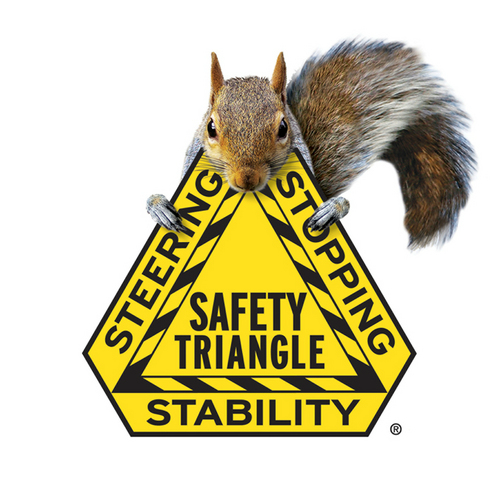 Safety Triangle. Steering, Stopping, and Stability